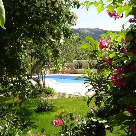 Pool Mirjana Rab Town